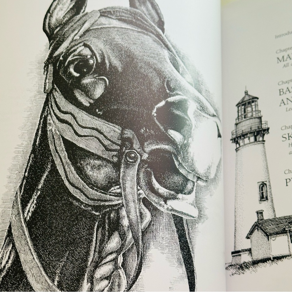 SIGNED Drawing In Pen & Ink Claudia Nice First Steps Series Paperback Book - Picture 6 of 10